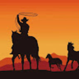 Meet your Posher, Kyleigh